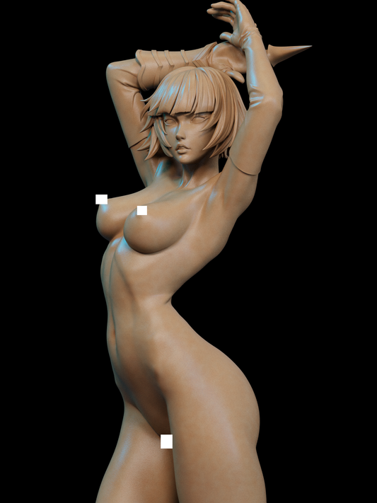 Soi Fon (Nude Version)
