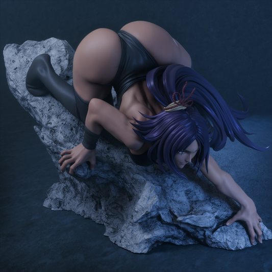 Yoruichi Shihōin